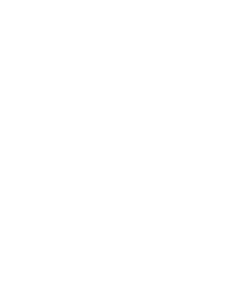 Regnum Christi
